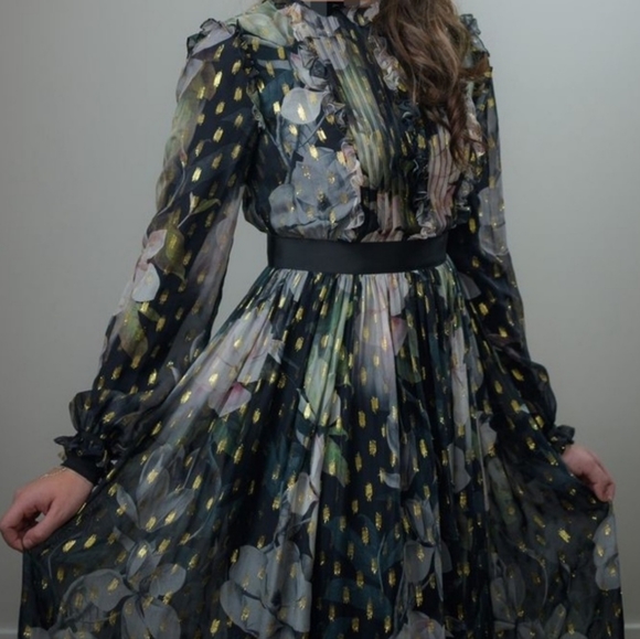 SOLD LIKE NEW TED BAKER HTF SILK BLEND HUNNIE MAXI DRESS - Picture 8 of 9